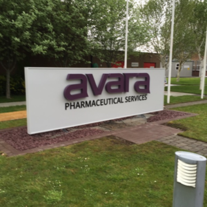 Avara Totem On Site